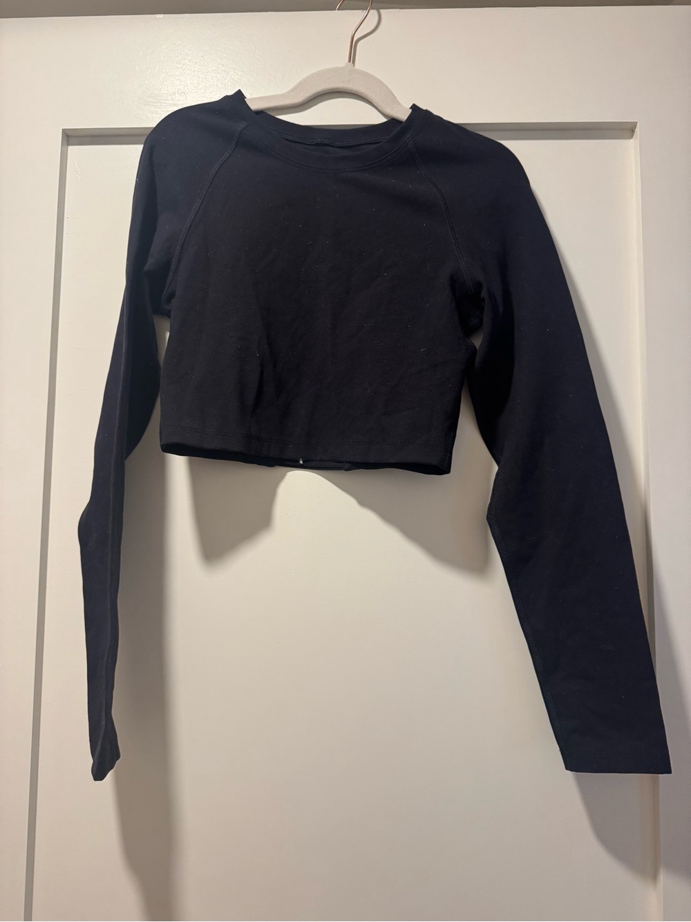 Southern Athletica Long Sleeve Desire Crop in Black